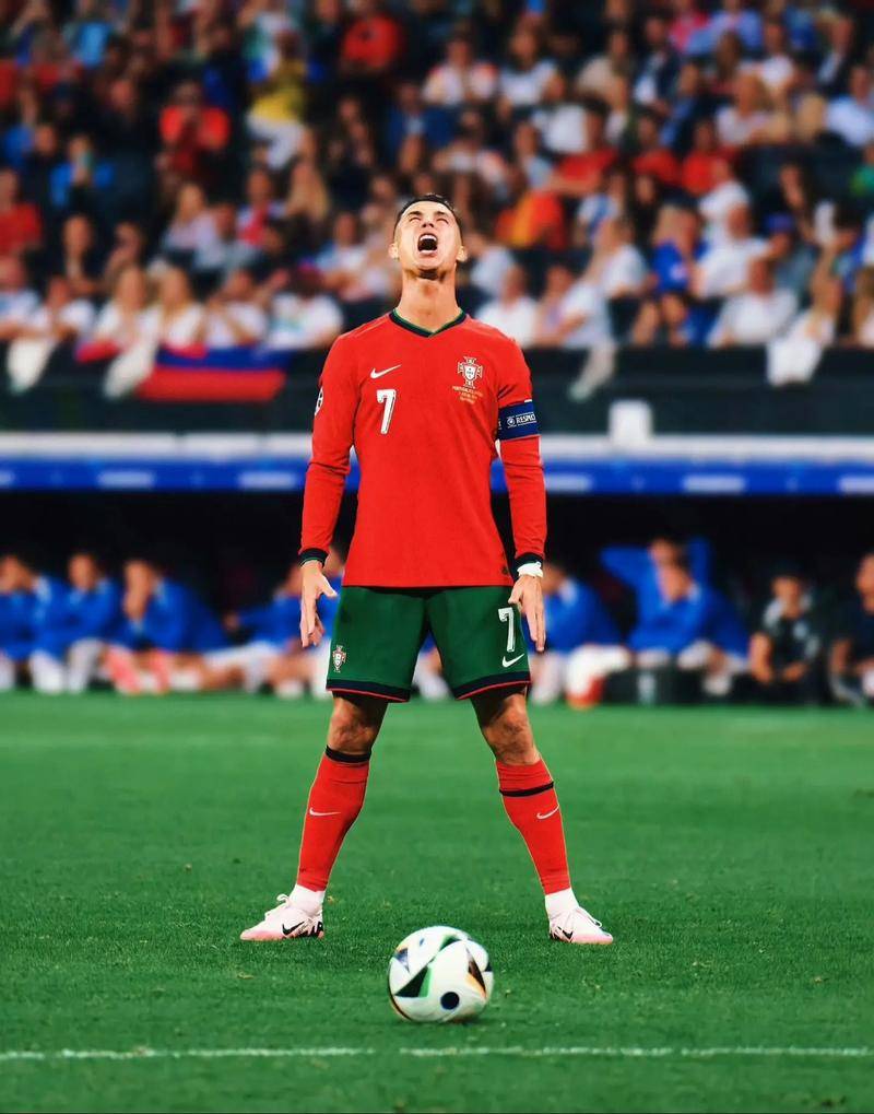 了积极的基 了积极的基