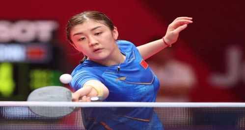 的文博研究 的文博研究