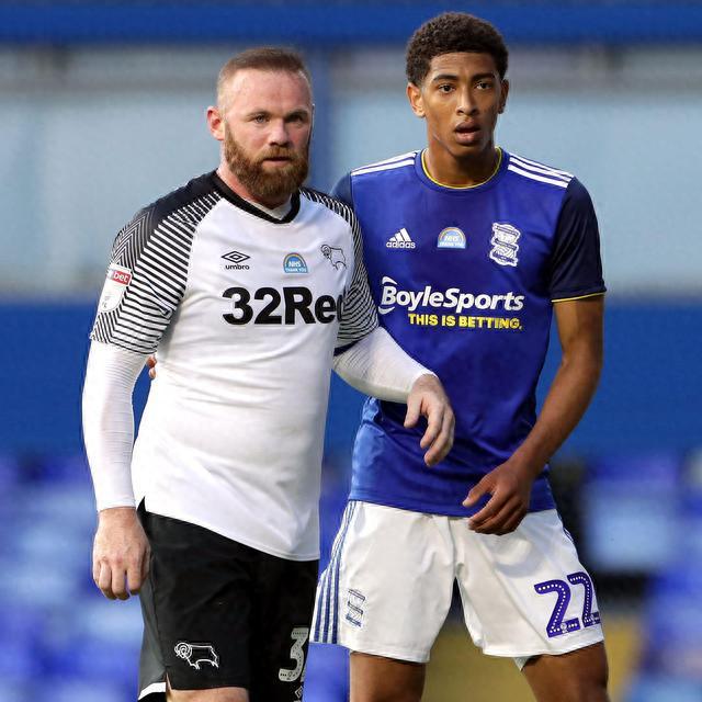 数据团队 数据团队